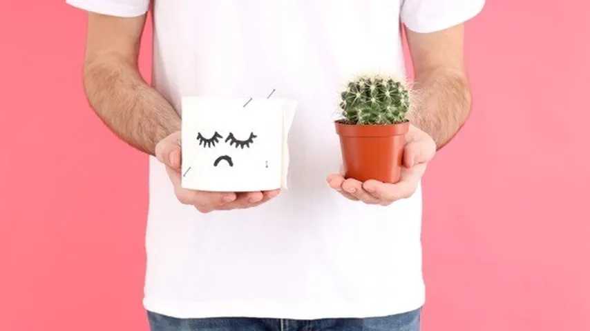 Un hombre sostiene papel higiénico y cactus. (Foto: Freepik)